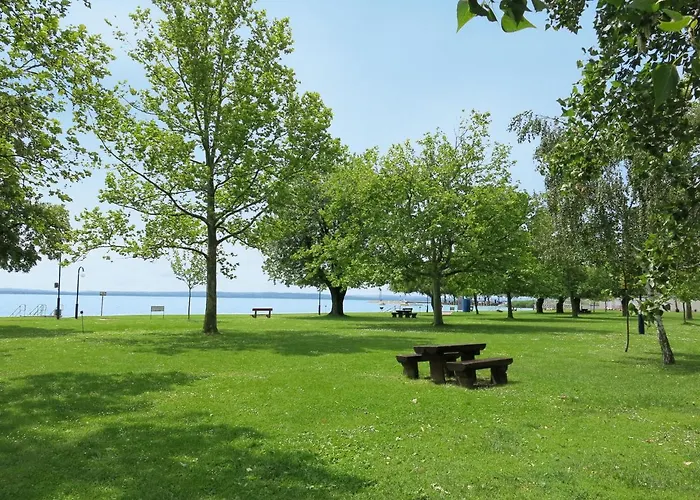 Albizia By Interhome *